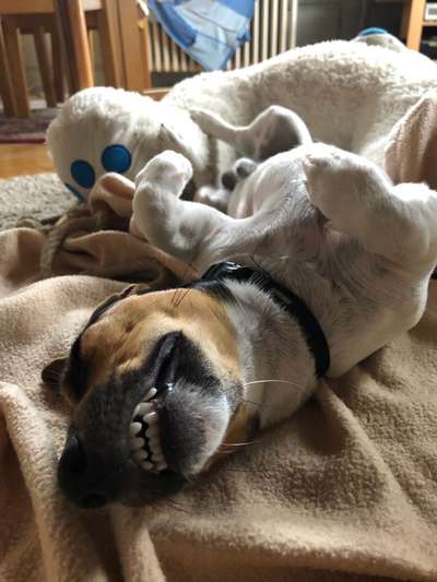 Verrückte Schlafpositionen-Beitrag-Bild