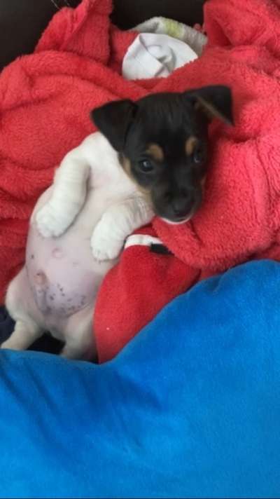 Verrückte Schlafpositionen-Beitrag-Bild