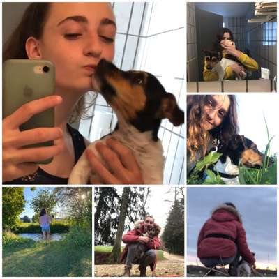 21. Collage Challenge 
Du und dein Hund-Beitrag-Bild