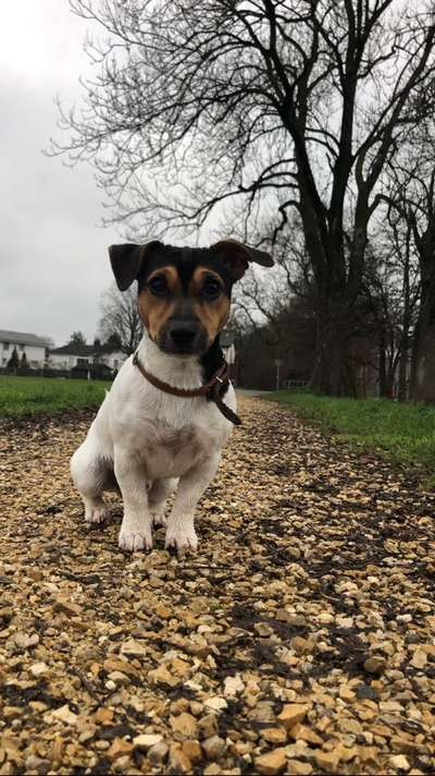 28. Handy-Fotochallenge - Damals und heute-Beitrag-Bild