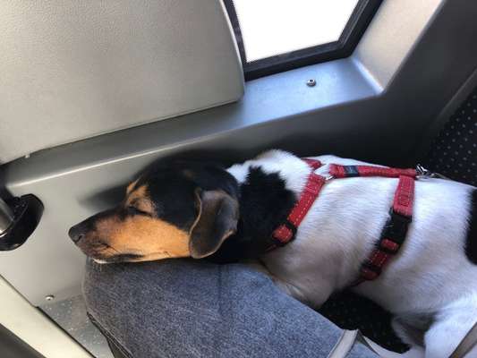 18. Handy - Foto - Challenge-Beitrag-Bild