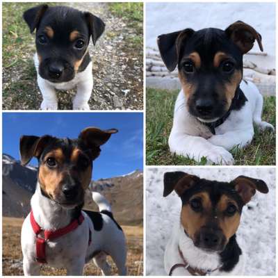 23. Collagen-Challenge: Portraits-Beitrag-Bild