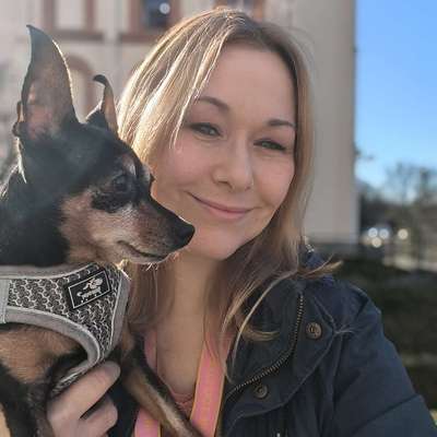 Hundetreffen-Kleinhunde- Runde :))-Profilbild