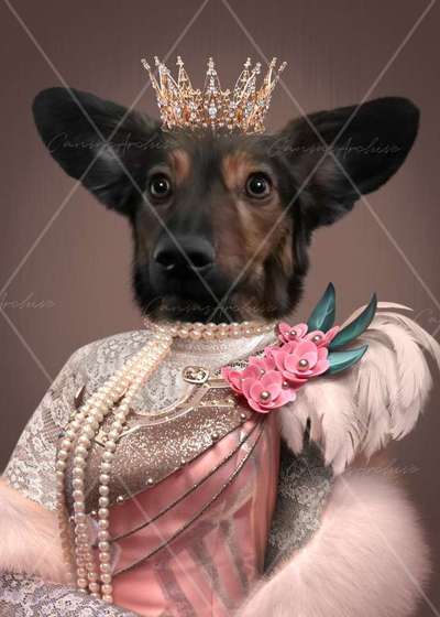 Hunde Memes-Beitrag-Bild