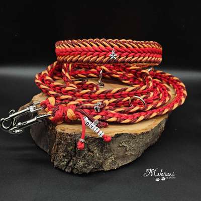 %{de_profession_title}-Paracord Halsband/Leine Set-Bild