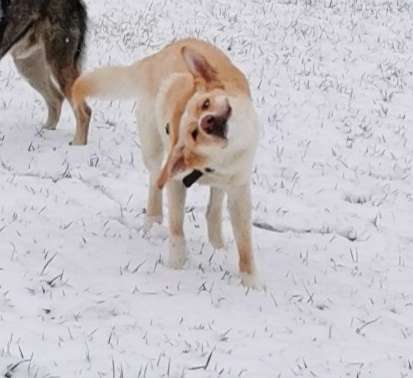 Fotochallenge 61 ~ Schnee-Beitrag-Bild