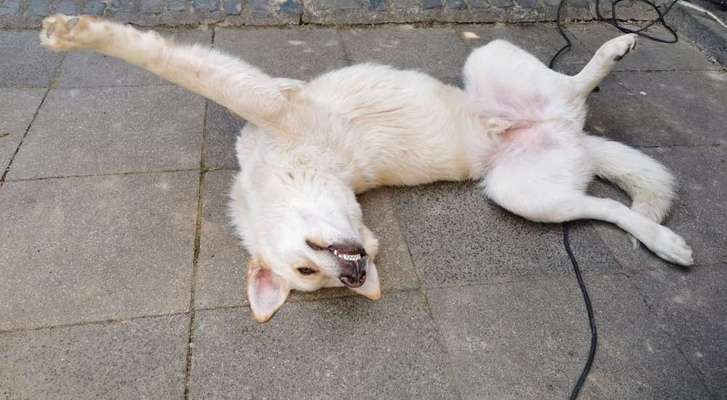 Fotochallenge Nr.65-Beitrag-Bild