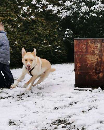 Challenge Nr. 15
Spiel im Schnee-Beitrag-Bild