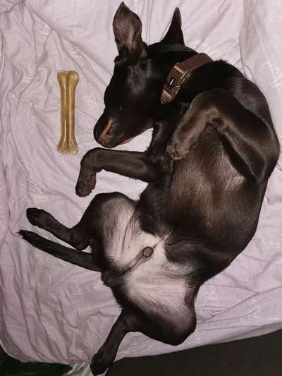 Fotochallenge Nr.65-Beitrag-Bild