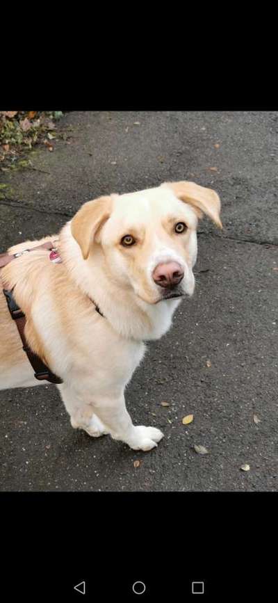 Fotochallange Nr. 57     PORTRÄT.   Beendet!!!!!!!!-Beitrag-Bild