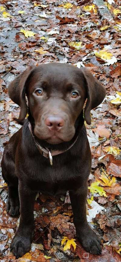 Fotochallange Nr. 57     PORTRÄT.   Beendet!!!!!!!!-Beitrag-Bild