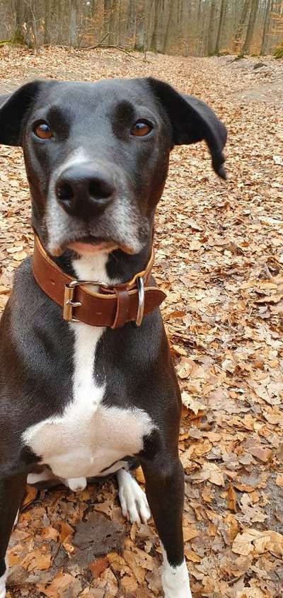 Gibt es Namens-Verwandte-Beitrag-Bild