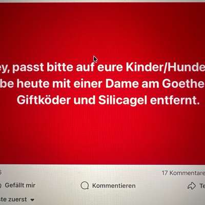 Giftköder-Giftköder-Bild