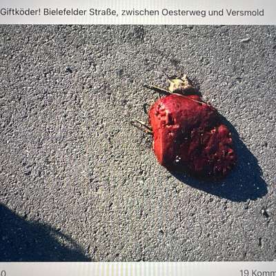 Giftköder-Giftköder-Bild