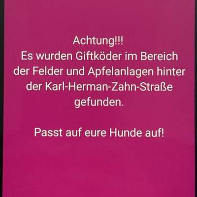 Giftköder-Giftköderverdacht-Bild