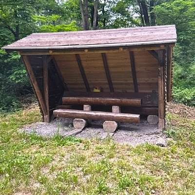 Giftköder-Möglicher Giftköder-Bild