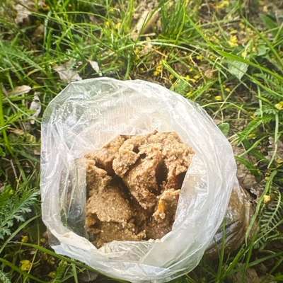 Giftköder-Möglicher Giftköder-Bild