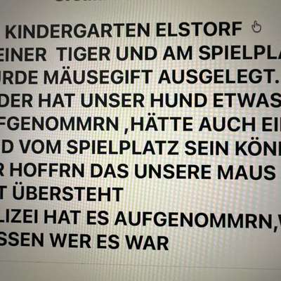 Giftköder-Giftköder-Bild