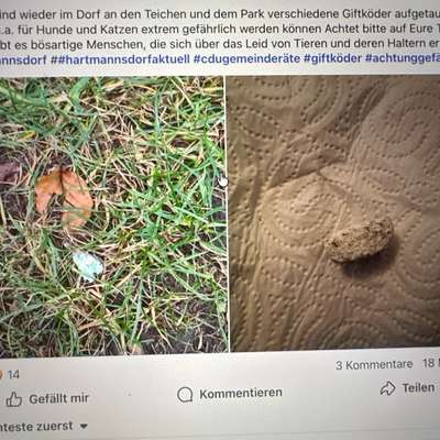 Giftköder-Möglicher Giftköder-Bild