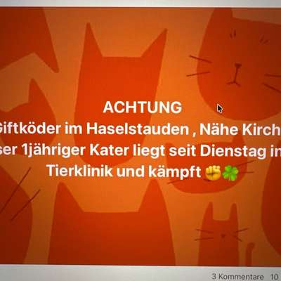 Giftköder-Giftköder-Bild