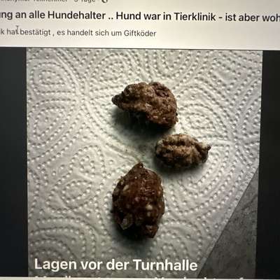 Giftköder-Giftköder-Bild