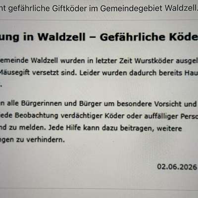 Giftköder-Giftköder-Bild