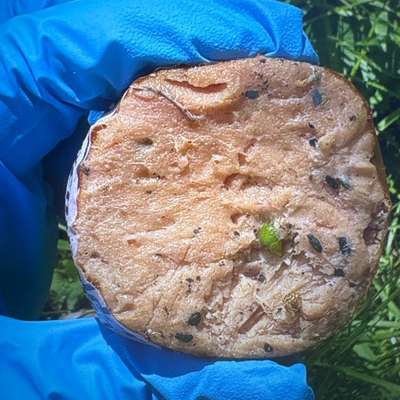 Giftköder-Giftköder-Bild