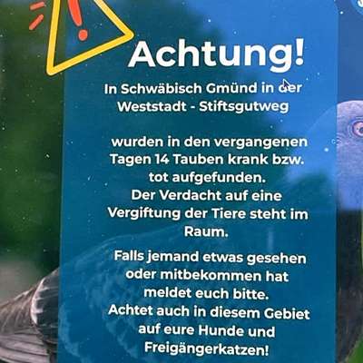 Giftköder-Giftköderverdacht-Bild
