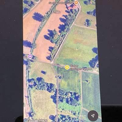 Giftköder-Giftköder-Bild