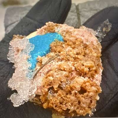 Giftköder-Giftköder-Bild