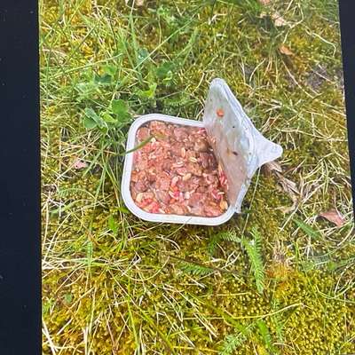 Giftköder-Giftköder-Bild