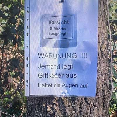 Giftköder-Giftköder-Bild