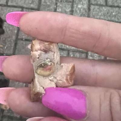 Giftköder-ausgelegte Köder-Bild