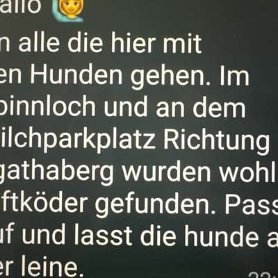 Giftköder-Möglicher Giftköder-Bild