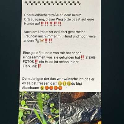 Giftköder-Giftköderverdacht-Bild