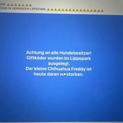 Giftköder-Giftköder-Bild