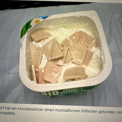 Giftköder-Möglicher Giftköder-Bild