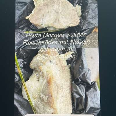 Giftköder-Giftköder-Bild