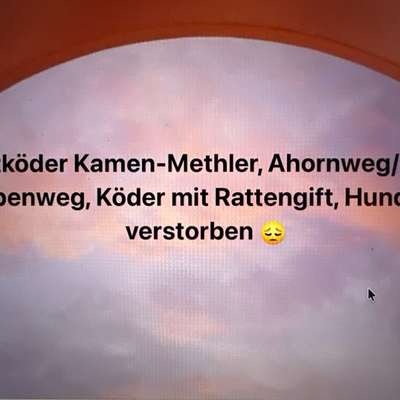 Giftköder-Giftköder-Bild