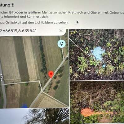 Giftköder-Giftköder-Bild