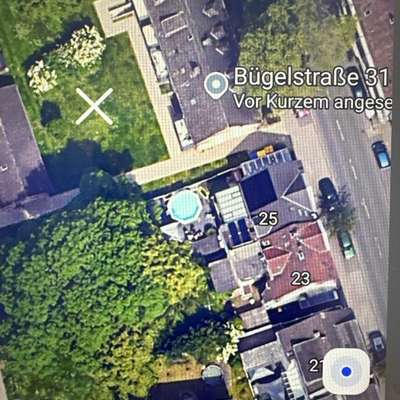 Giftköder-Giftköder-Bild