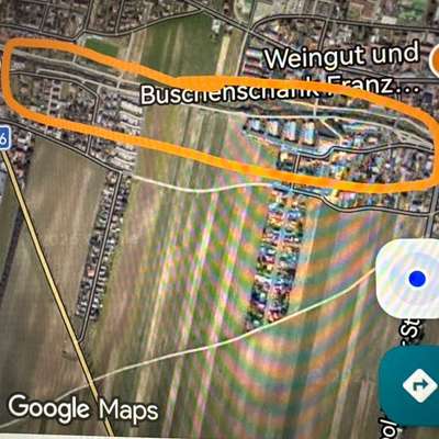 Giftköder-Giftköder-Bild