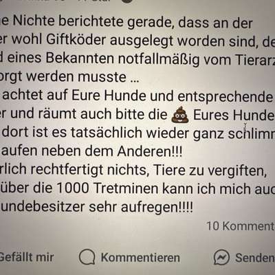 Giftköder-Möglicher Giftköder-Bild