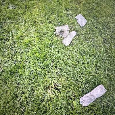 Giftköder-Giftköder-Bild