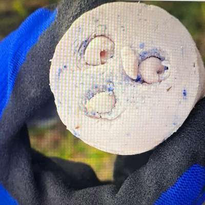 Giftköder-Giftköder-Bild