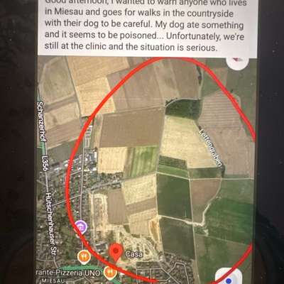 Giftköder-Möglicher Giftköder-Bild