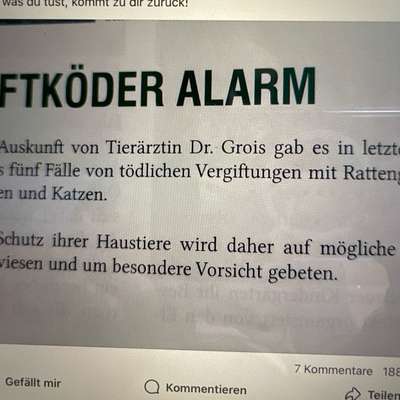 Giftköder-Giftköder-Bild