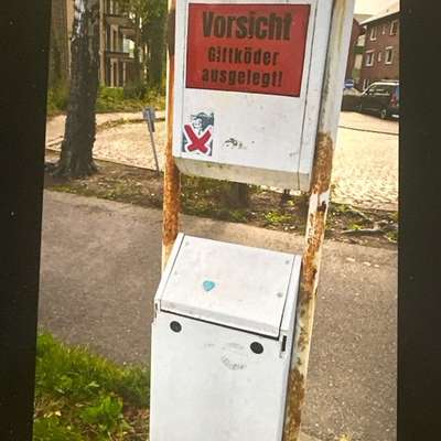 Giftköder-Giftköderverdacht-Bild