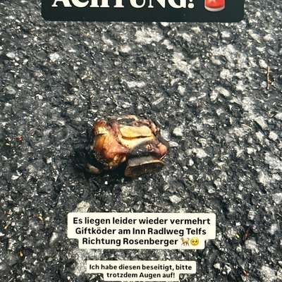 Giftköder-Giftköderverdacht-Bild