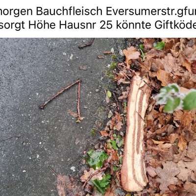 Giftköder-Giftköder-Bild